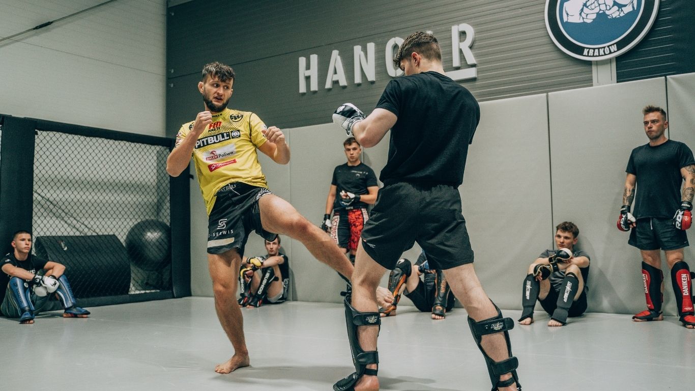 jak zostać trenerem mma